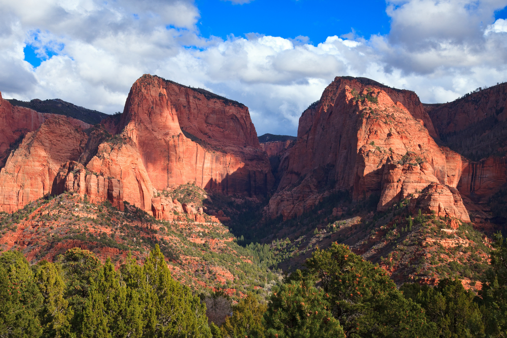 Where To Stay in Zion National Park