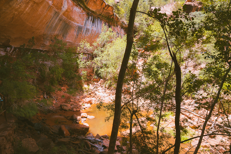 Where To Stay in Zion National Park