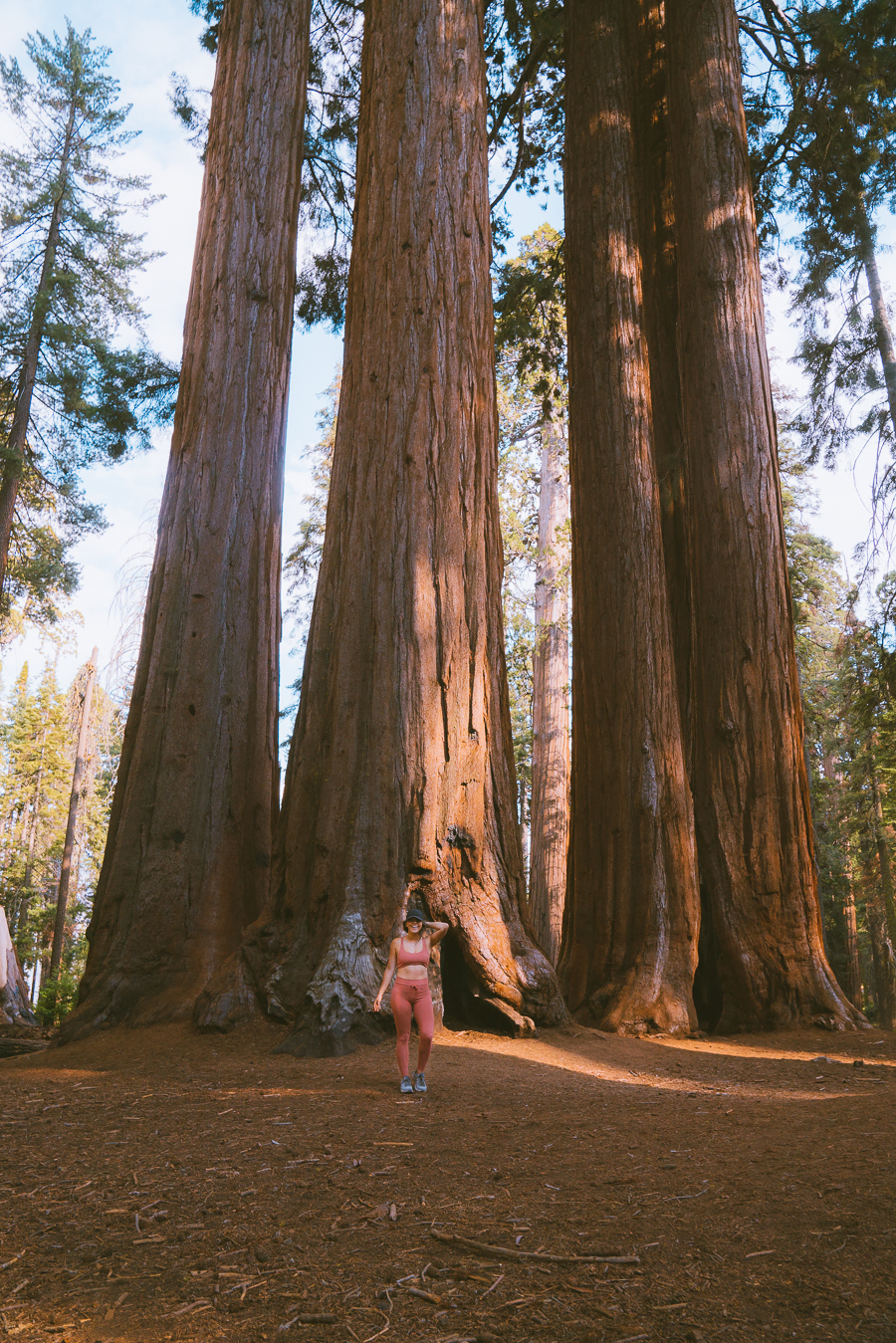 Things To Do in Sequoia National Park  16 Must-See Attractions - The 
