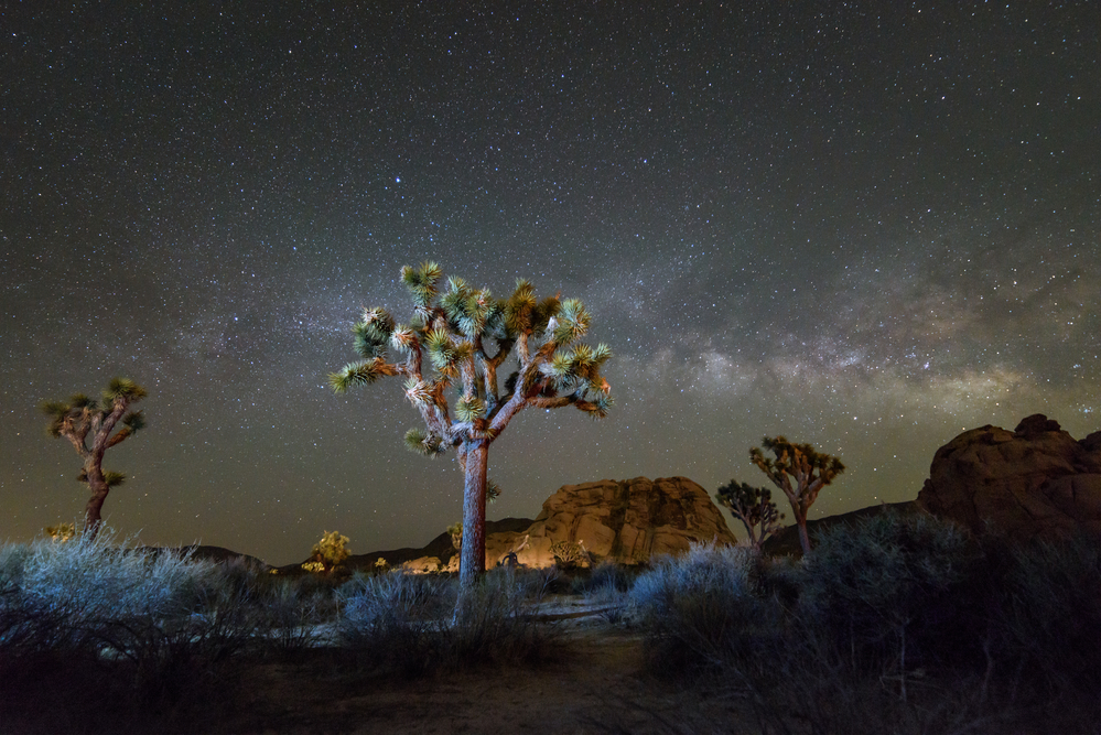 Best Hikes in Joshua Tree National Park