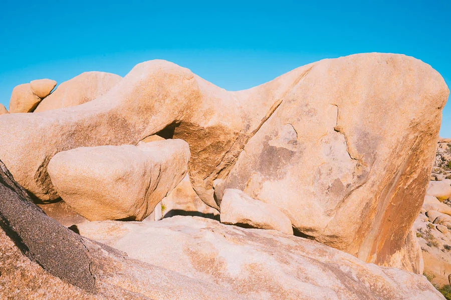 Best Hikes in Joshua Tree National Park