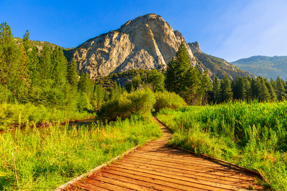 Things To Do in Kings Canyon National Park