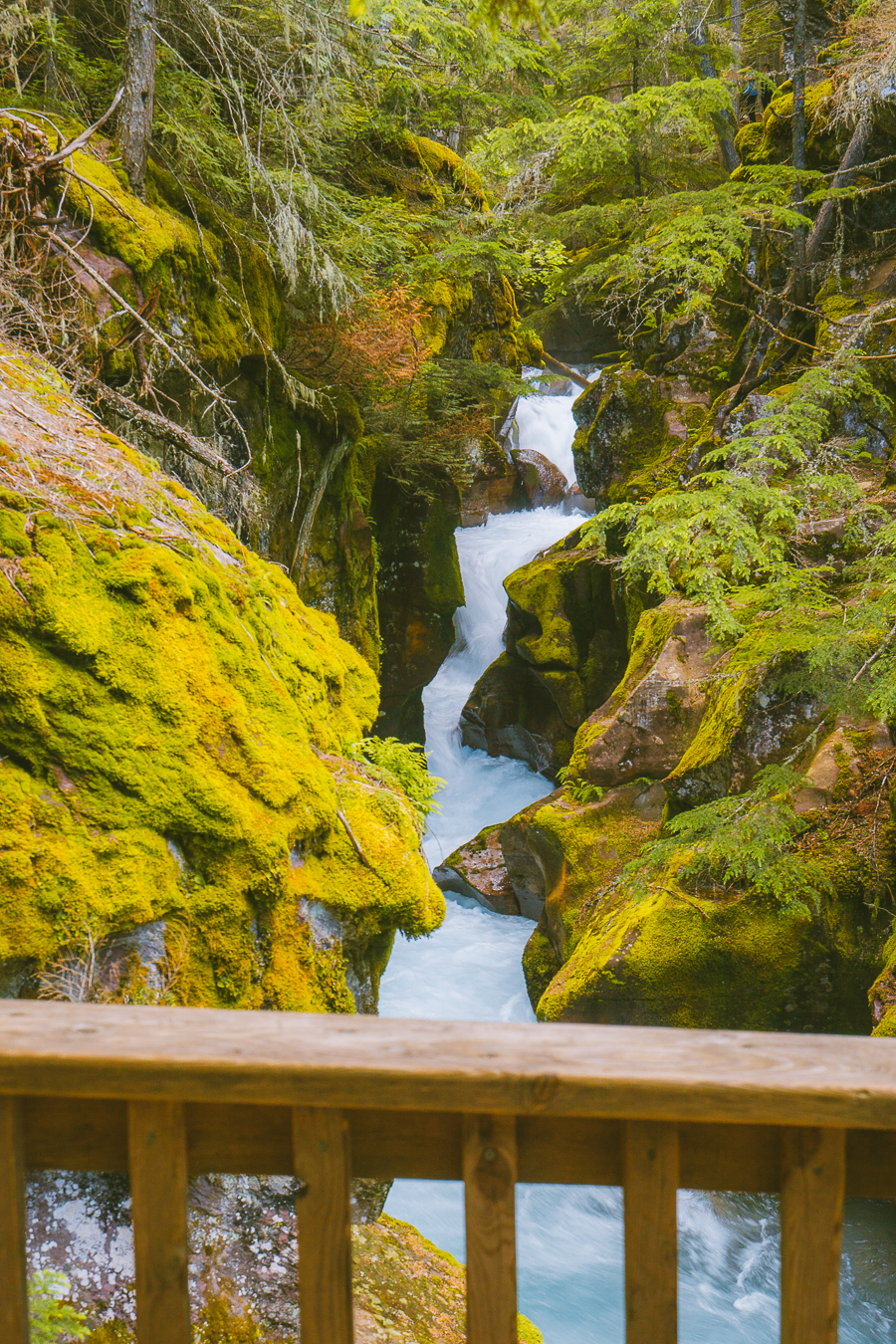 Avalanche Creek Glacier National Park Leggings