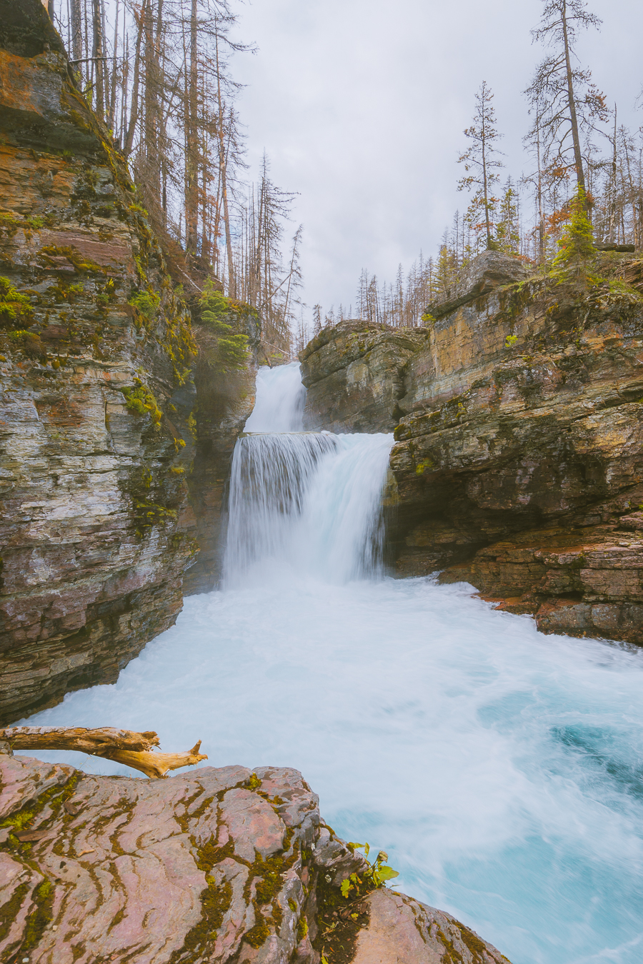 Best Hikes in Glacier National Park