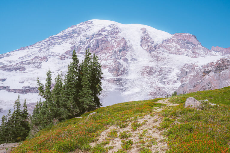 Fun Day Trip to Mount Rainier from Seattle | An Insider’s Guide