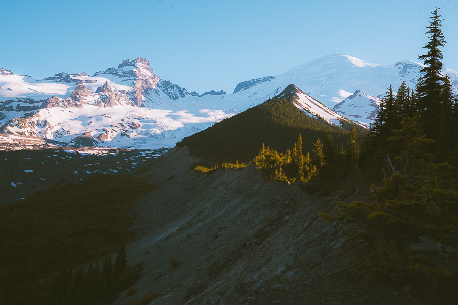 Day Trip to Mount Rainier from Seattle