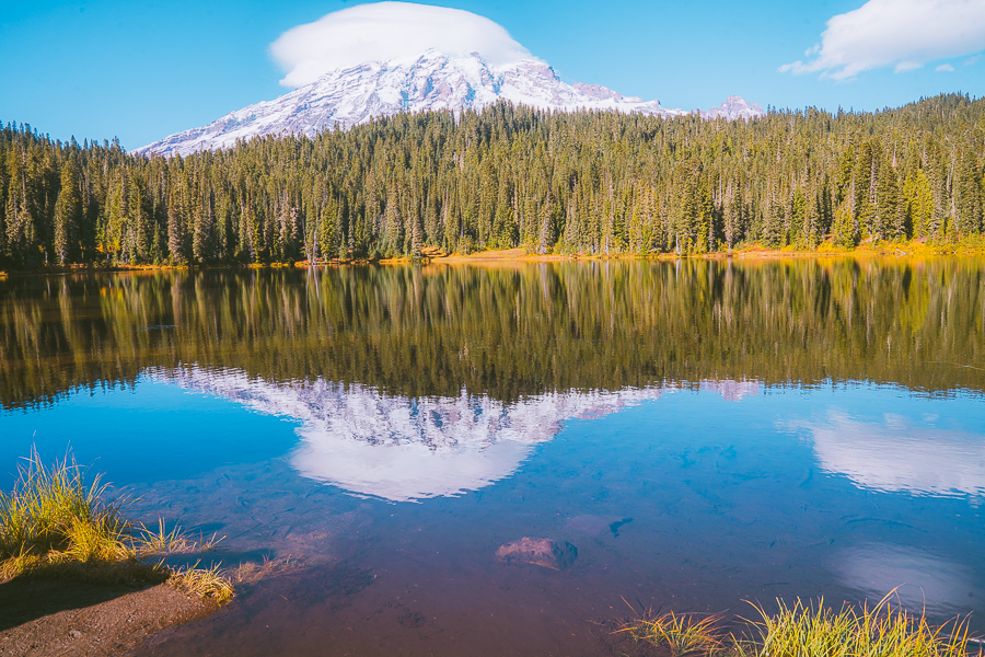 Day Trip to Mount Rainier from Seattle