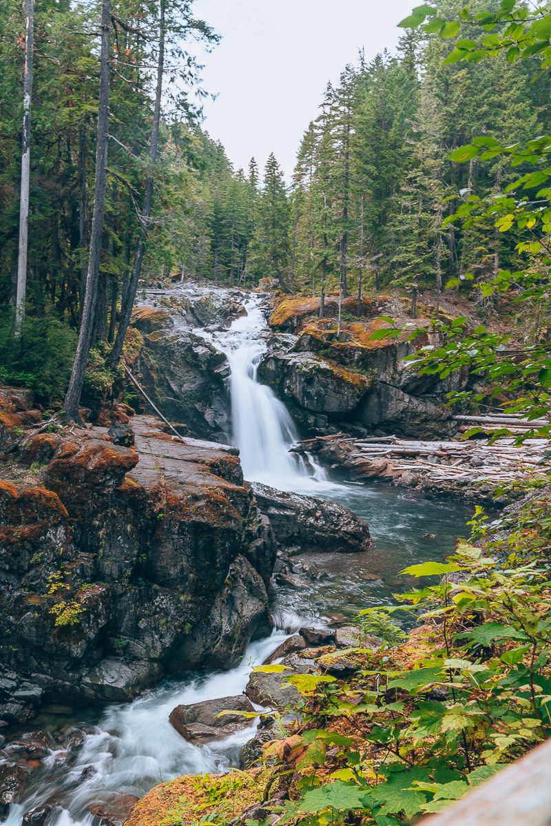 seattle day trips to mount rainier