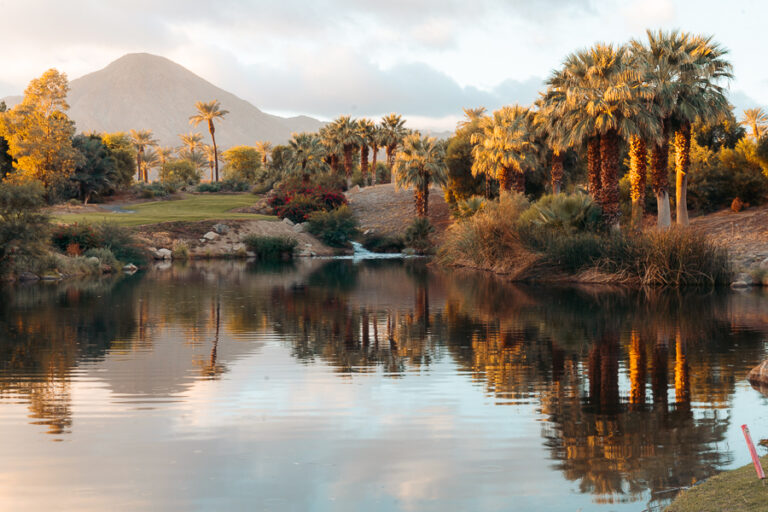 The Perfect Weekend In Palm Springs Itinerary