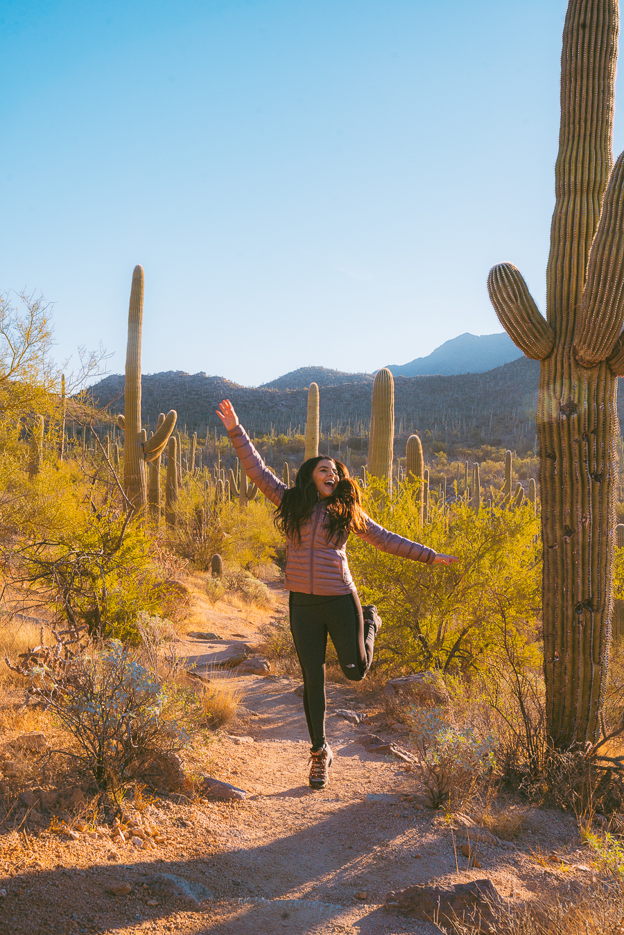 Best Hikes In Saguaro National Park: 11 Hiking Trails You'll Love - The  Wandering Queen