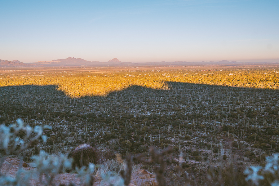 Best Hikes In Saguaro National Park