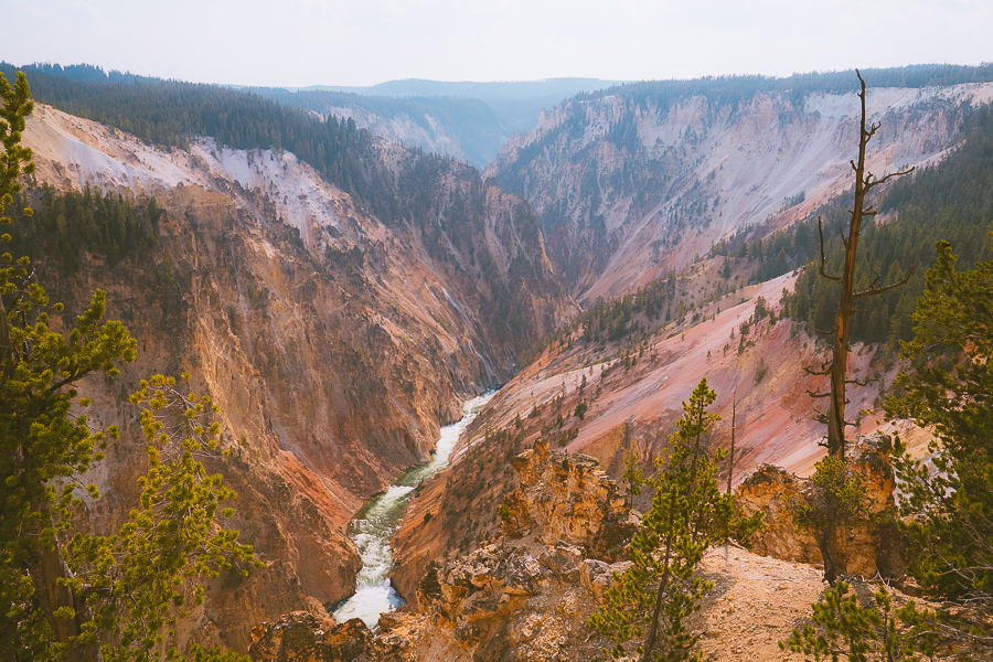 Where to Stay in Yellowstone National Park