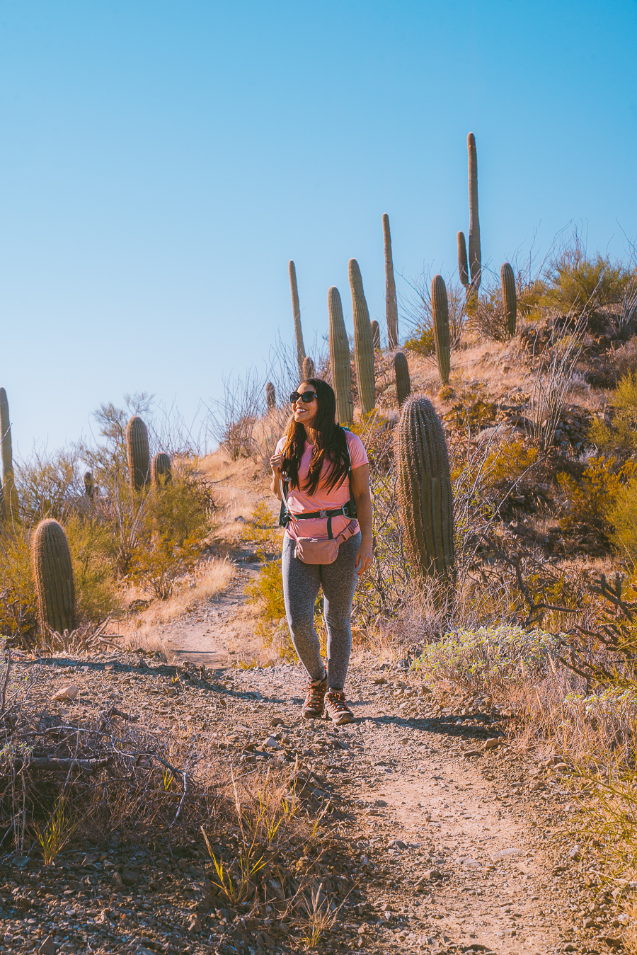 Best Hikes In Saguaro National Park
