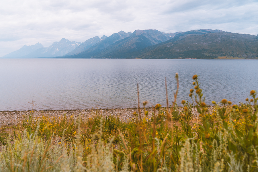 Where to Stay in Grand Teton National Park
