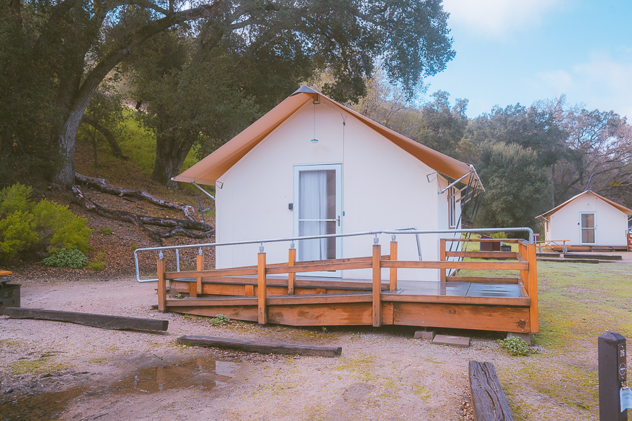 Best Hikes in Pinnacles National Park