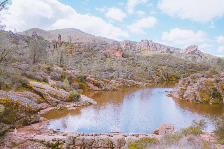 Best Hikes in Pinnacles National Park: 10 Thrilling Hiking Trails 