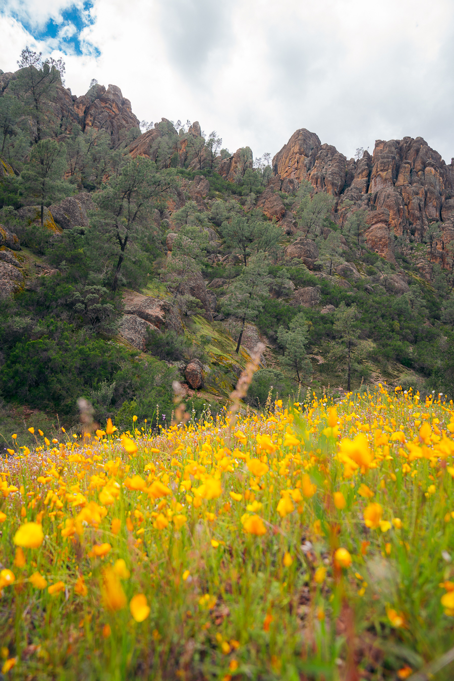 Best Hikes in Pinnacles National Park