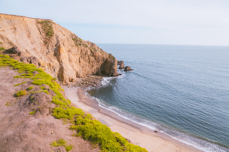 19 Things To Do in Point Reyes National Seashore, California