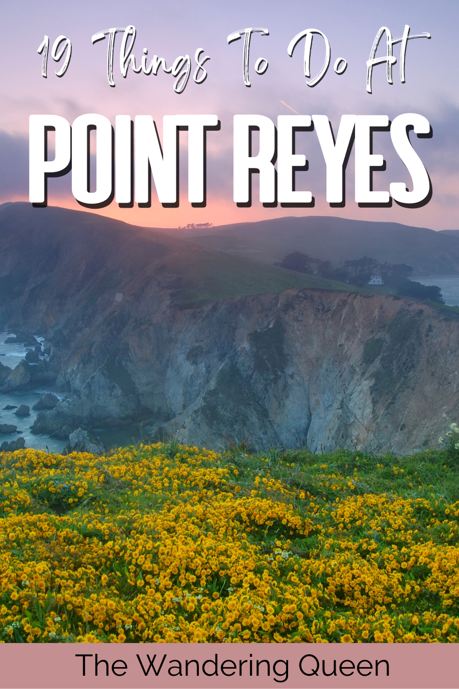 Things To Do in Point Reyes