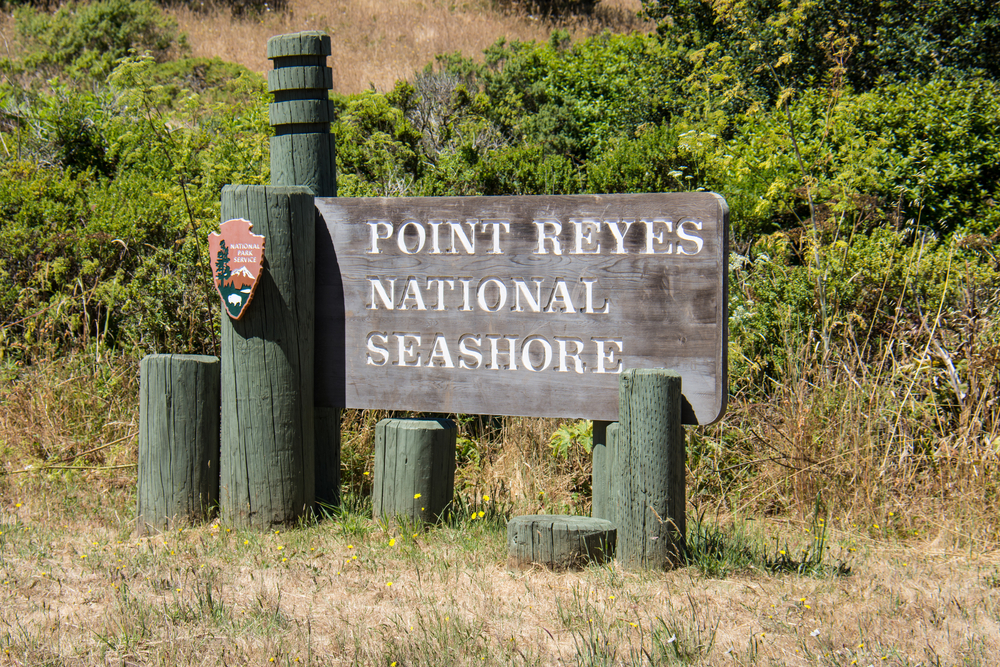Things To Do in Point Reyes