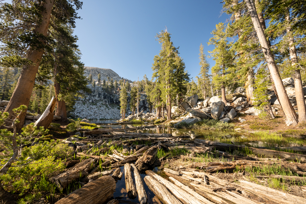 Best hikes in sequoia online