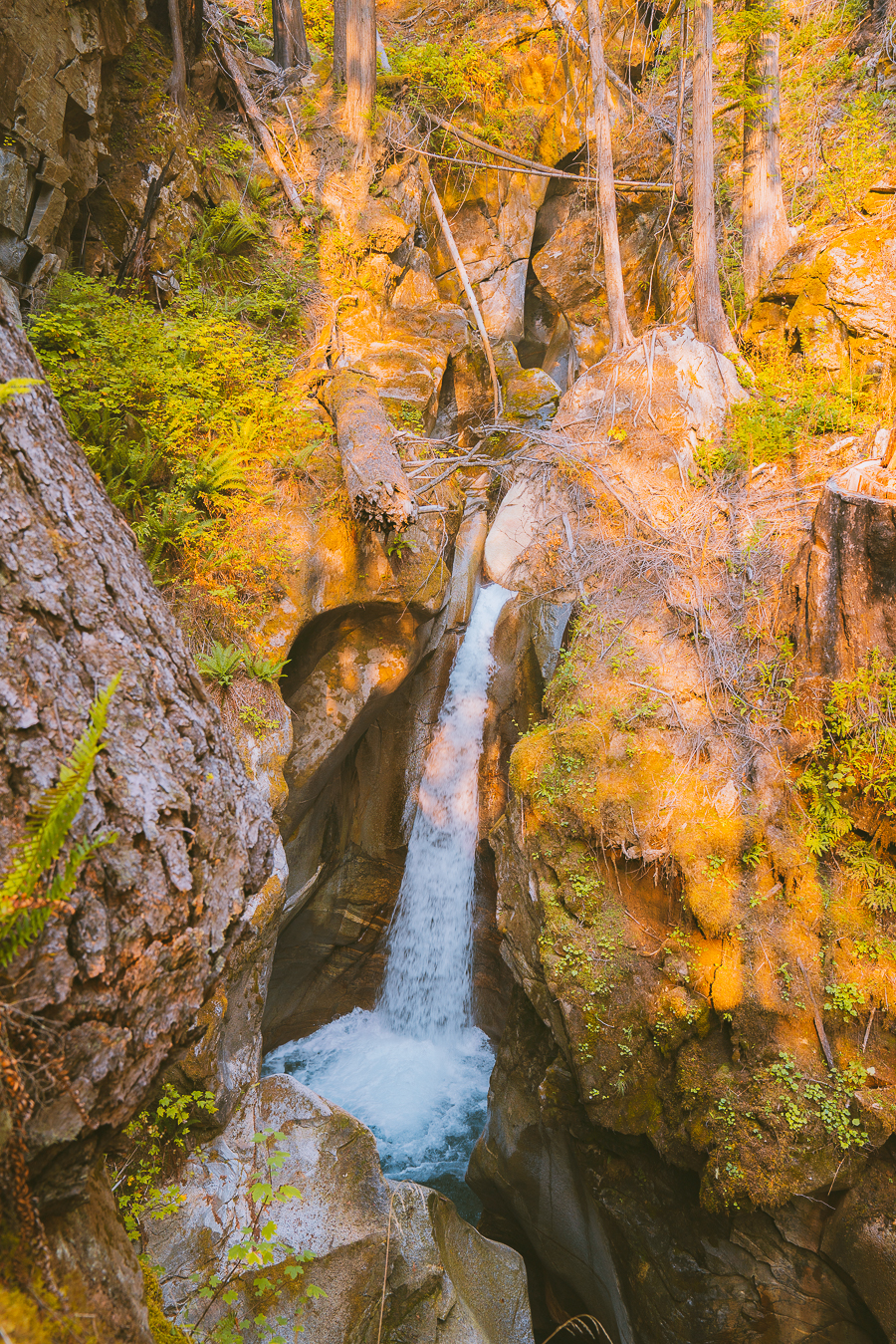 North cascades national park waterfalls sale