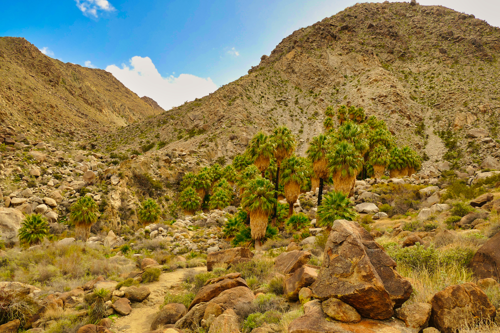 Things to Do in Joshua Tree