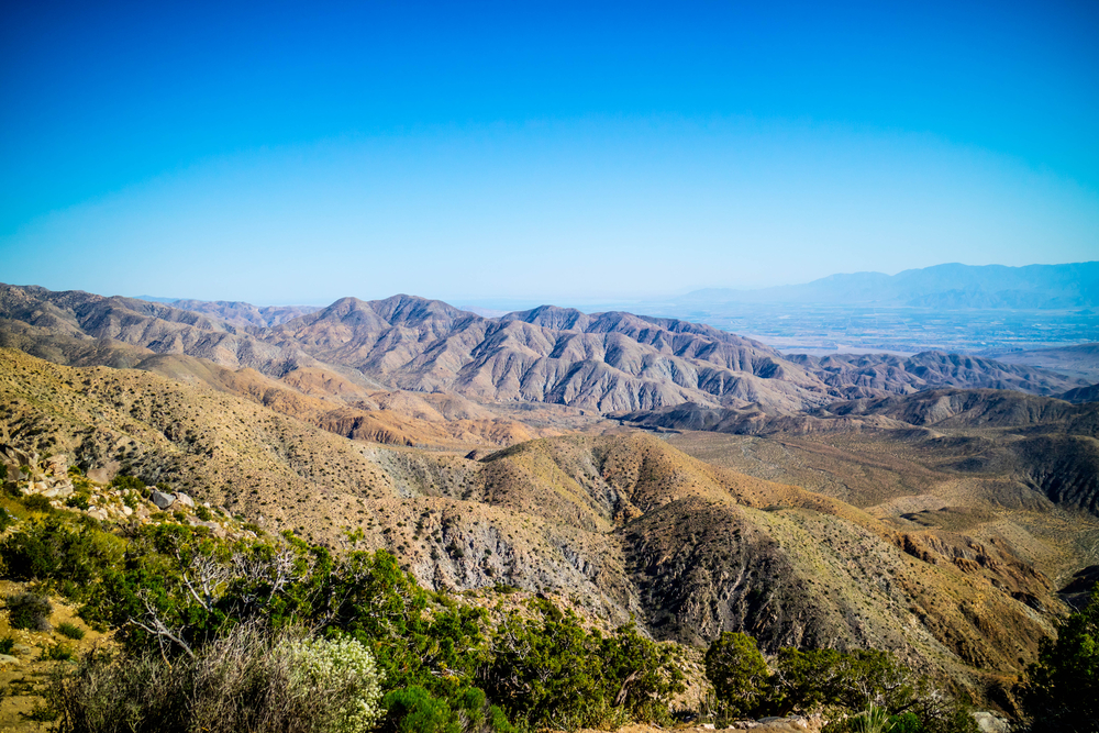 Things to Do in Joshua Tree