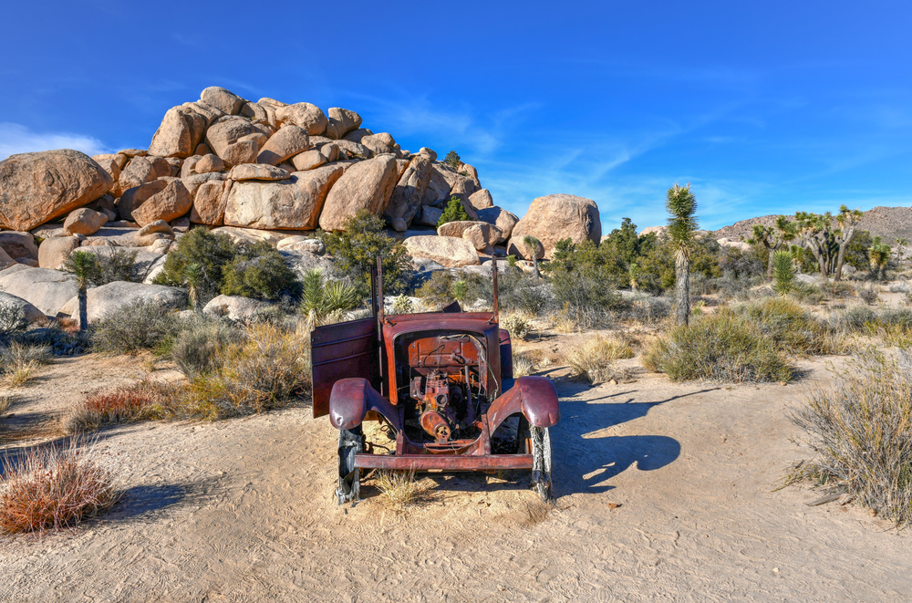 Things to Do in Joshua Tree