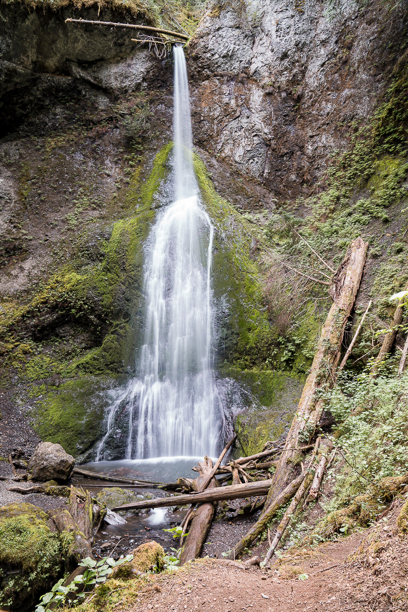 Things To Do in Olympic National Park