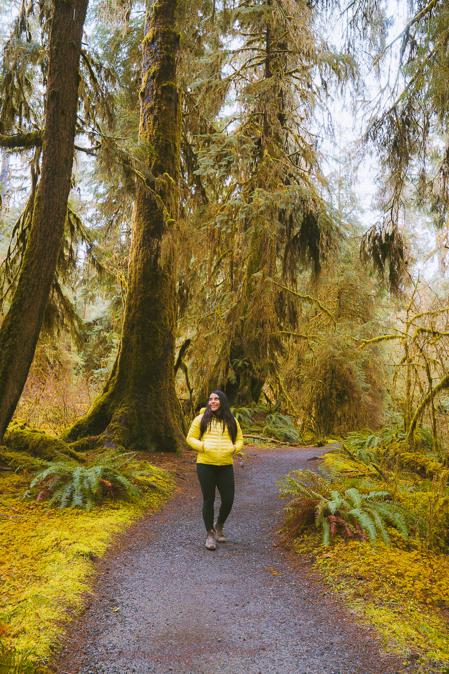 Things To Do in Olympic National Park