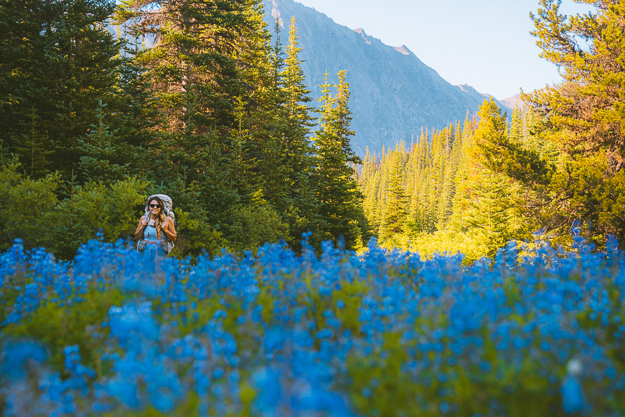 Things To Do in Olympic National Park