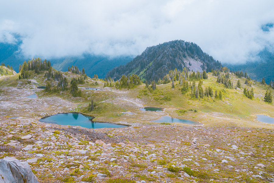 Things To Do in Olympic National Park