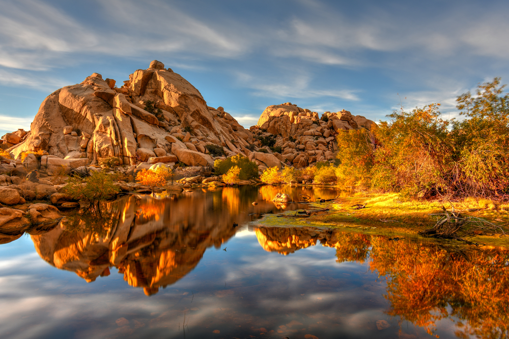 Things to Do in Joshua Tree