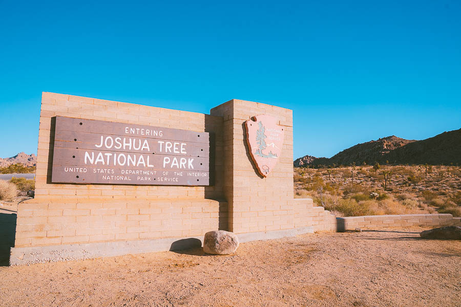 Things to Do in Joshua Tree