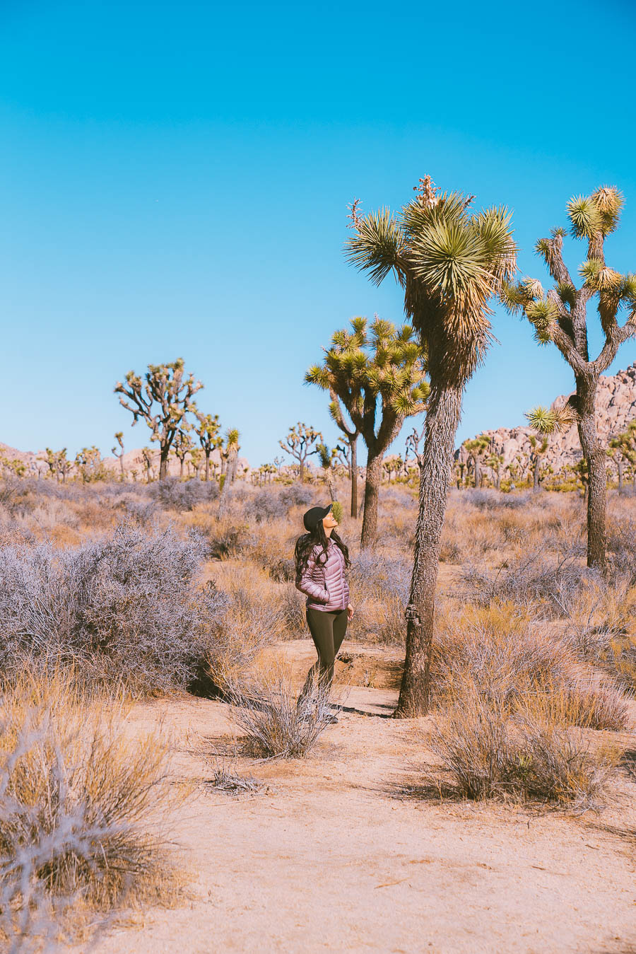 Things to Do in Joshua Tree