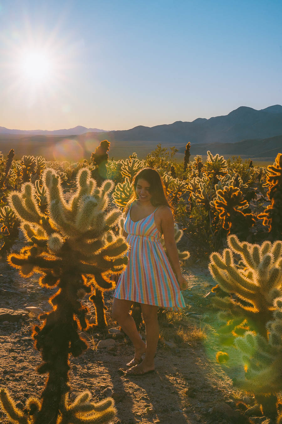 Things to Do in Joshua Tree