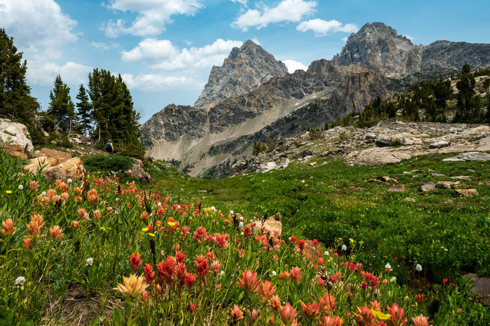 Best Hikes in Grand Teton National Park