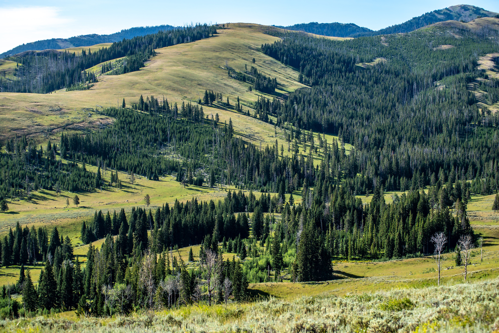 Best Hikes in Yellowstone National Park