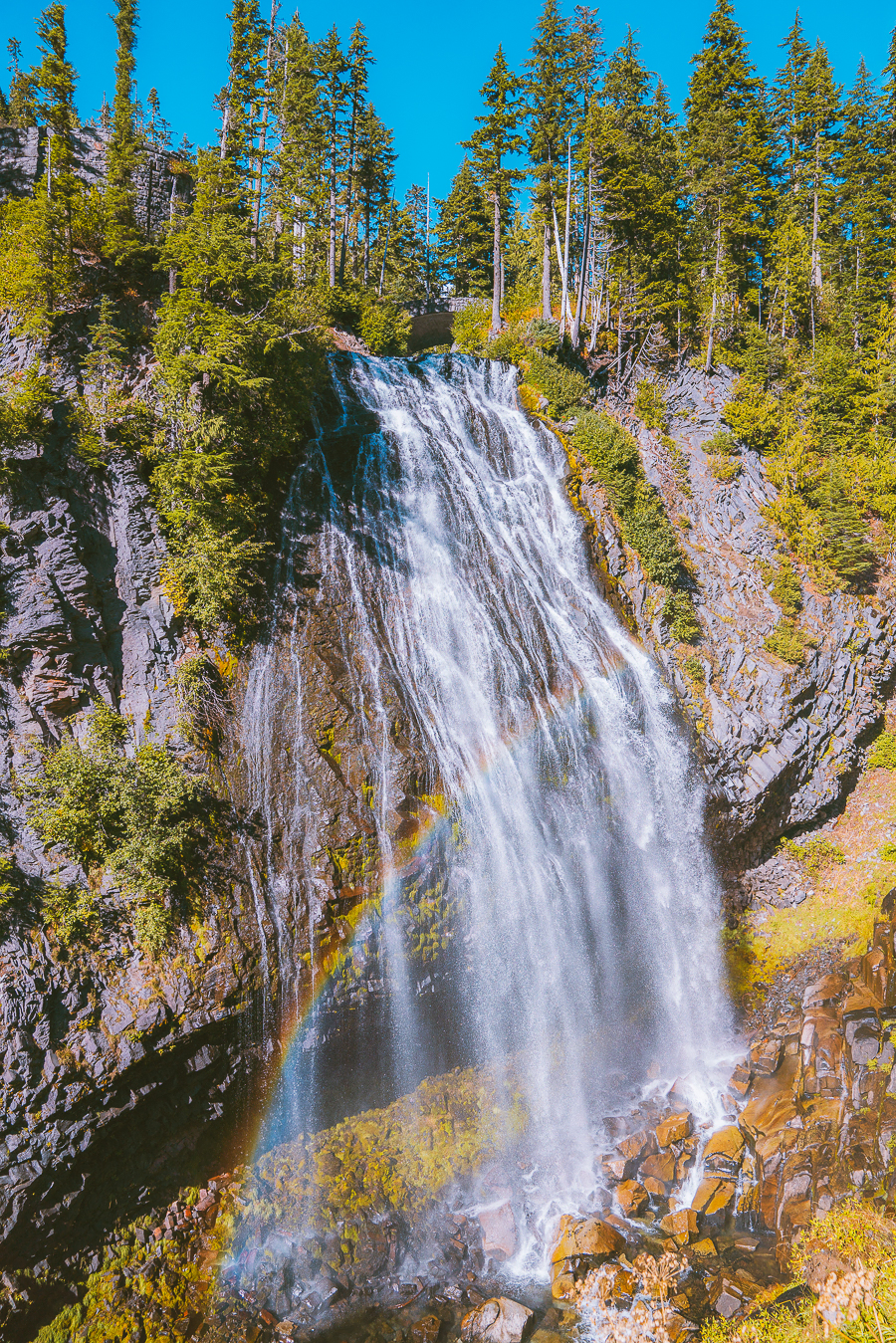 Where To Stay In Mt Rainier National Park