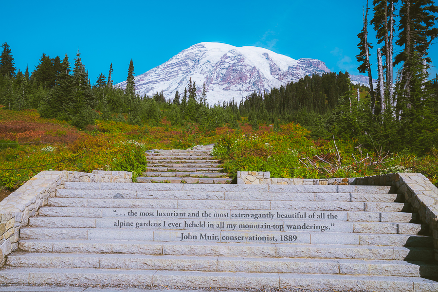 Where To Stay In Mt Rainier National Park