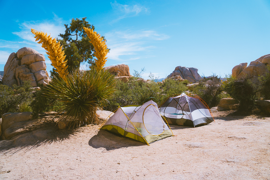 Where to Stay in Joshua Tree