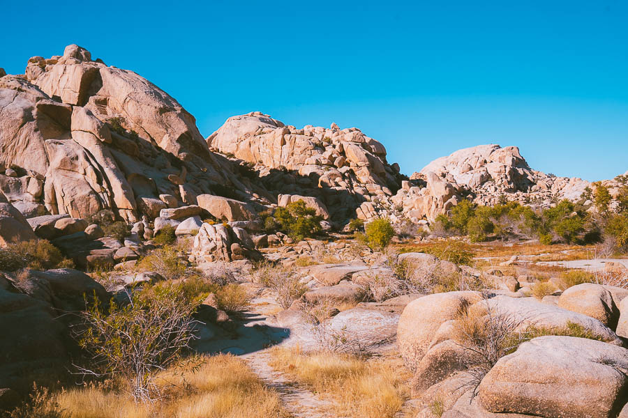 Where to Stay in Joshua Tree