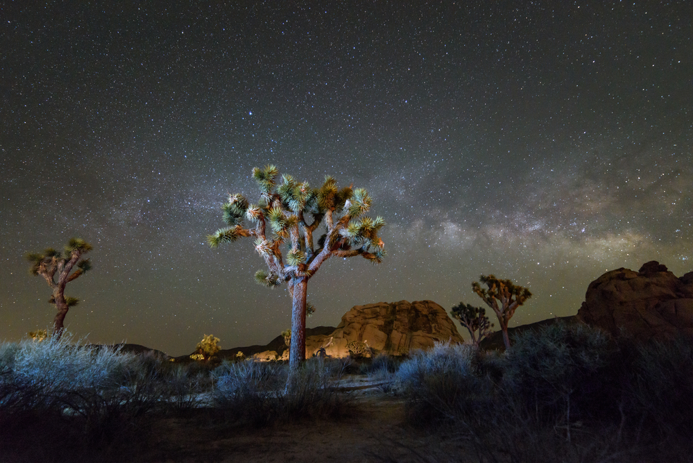 Where to Stay in Joshua Tree