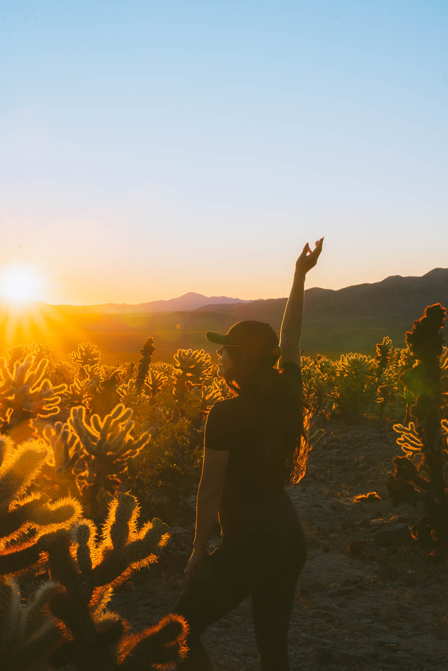 Where to Stay in Joshua Tree