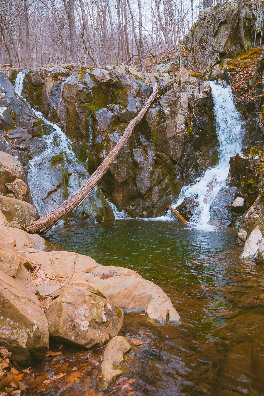 Things To Do in Shenandoah National Park