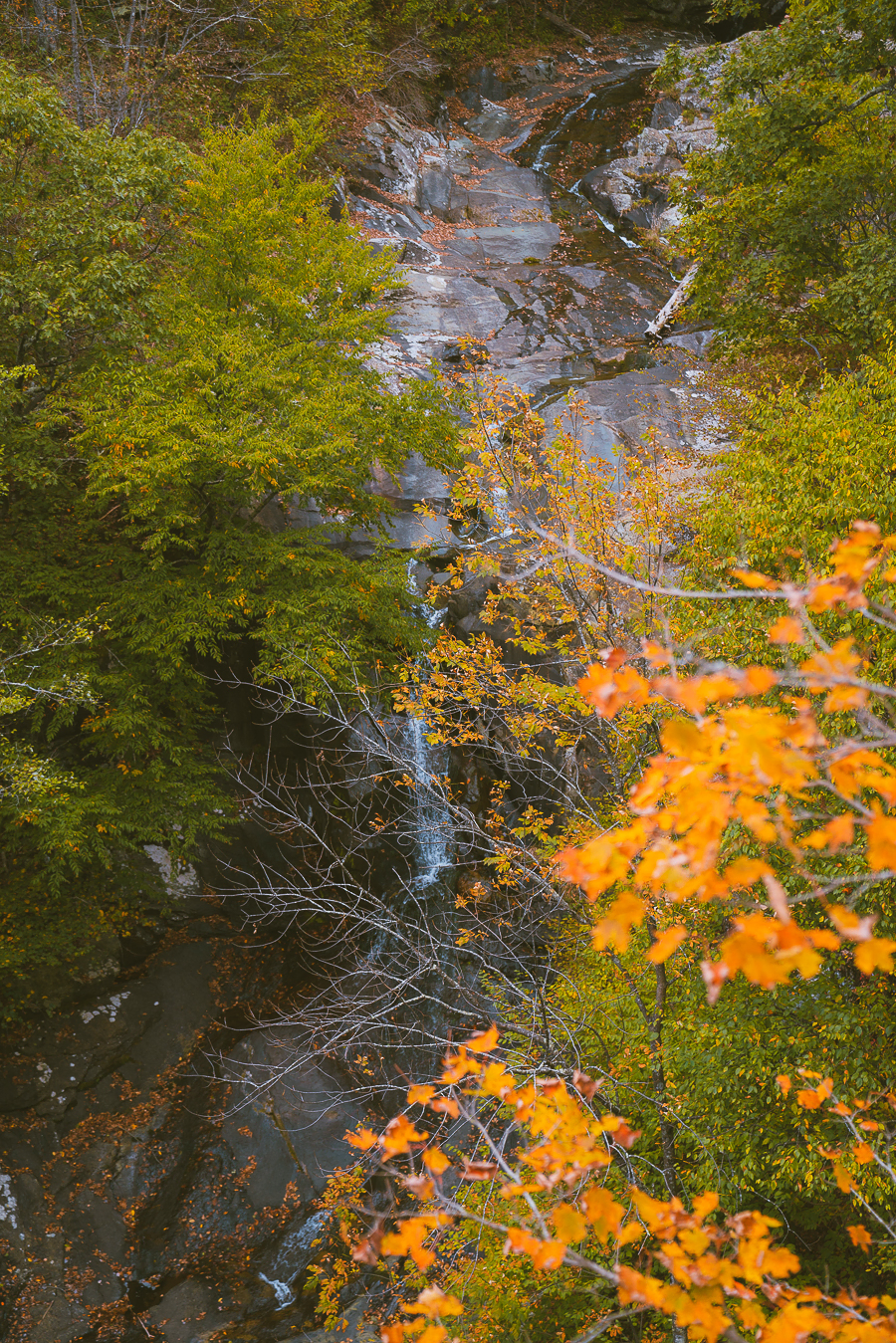 Where to Stay in Shenandoah National Park