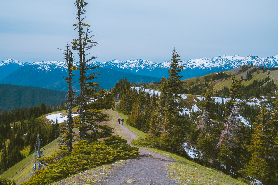 Backpacking Olympic National Park