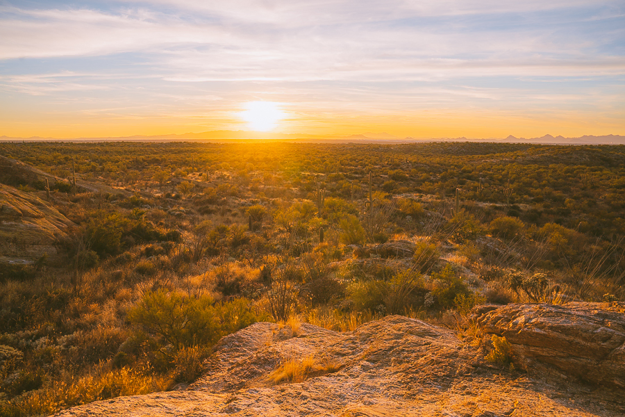 Hotels Near Saguaro National Park