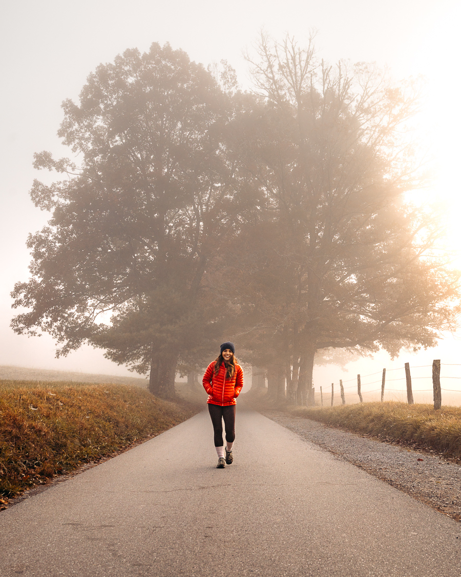 Things to Do in Great Smoky Mountains